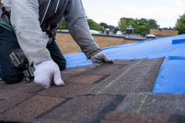 Best Metal Roofing Contractor  in Hartford, IL